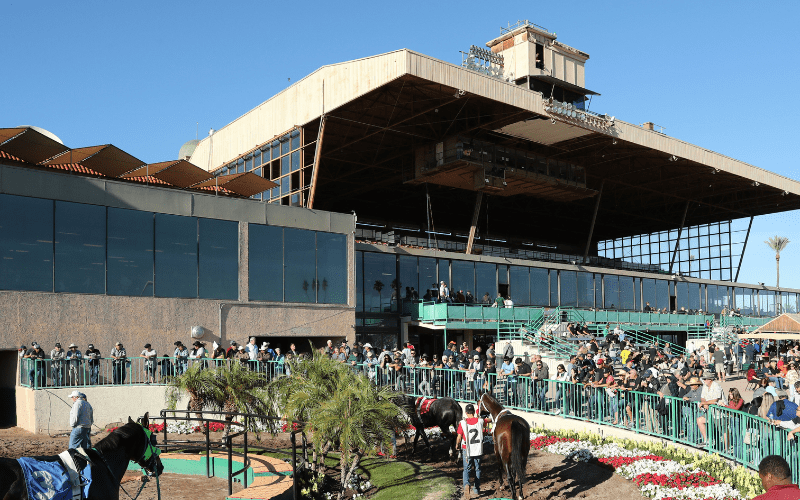 Turf Paradise Racetrack